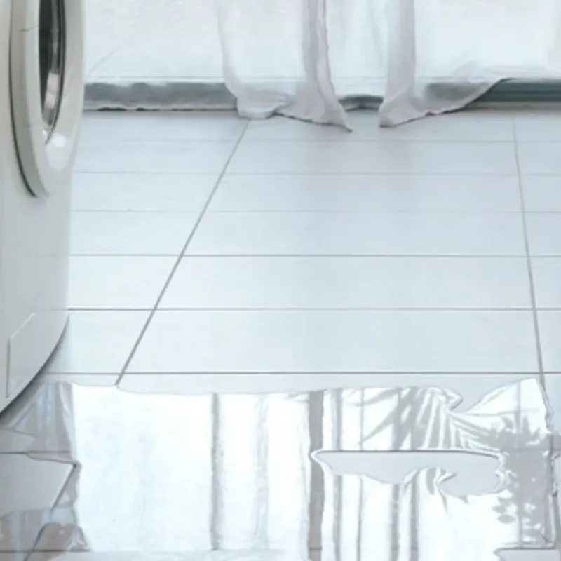 Appliance Leak Cleanup in Millwood, WA